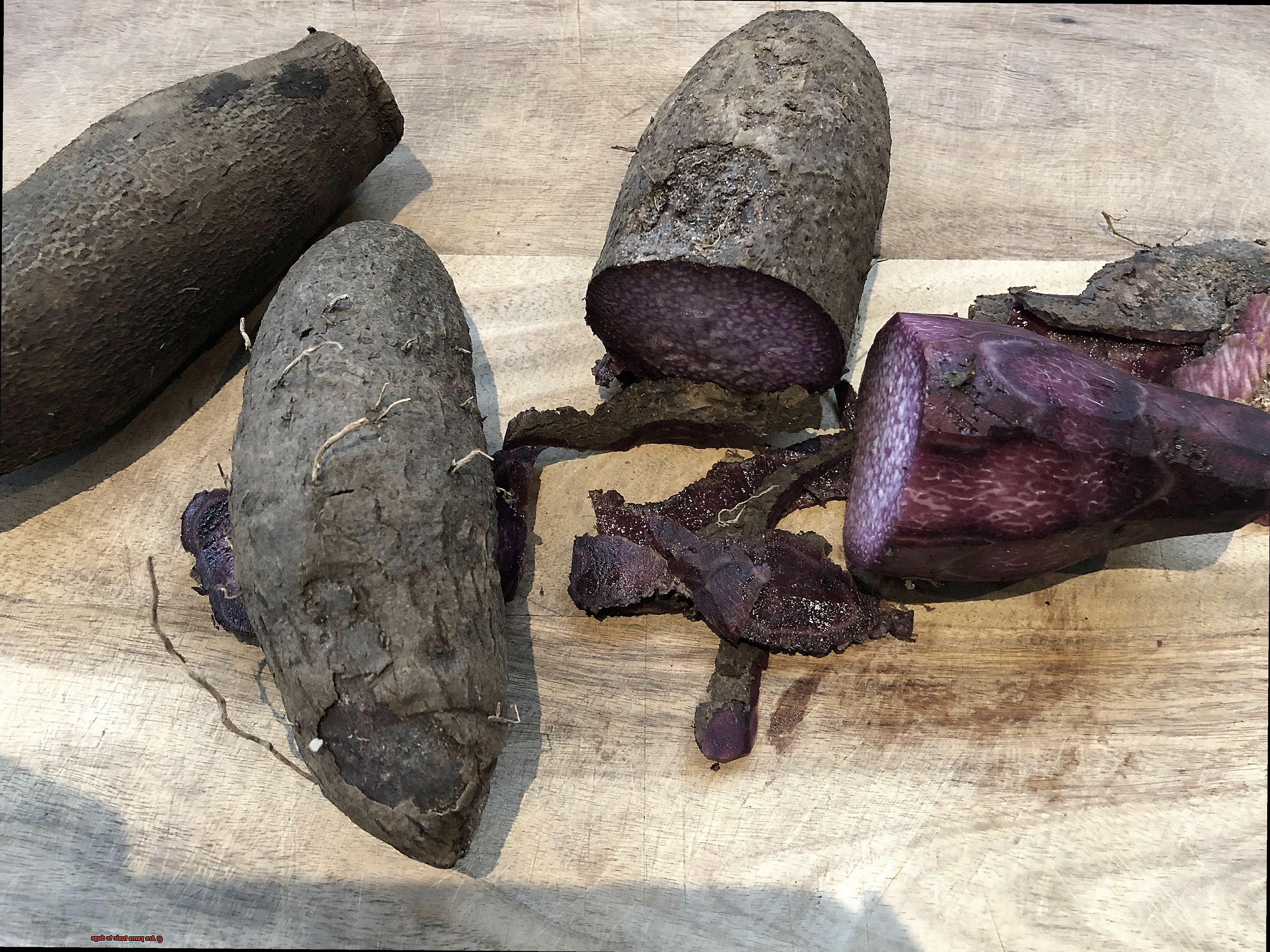 Are yams toxic to dogs-3
