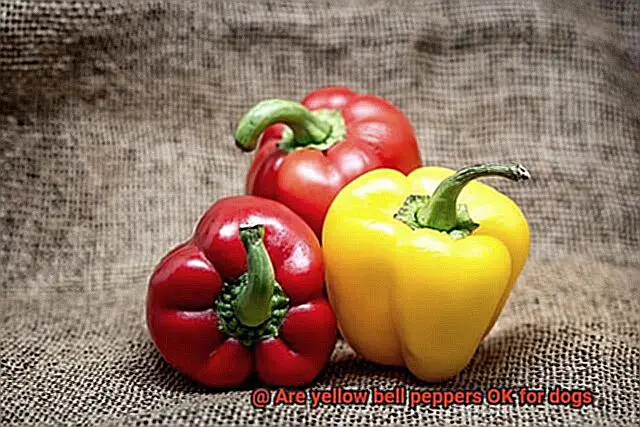 Are yellow bell peppers OK for dogs-4