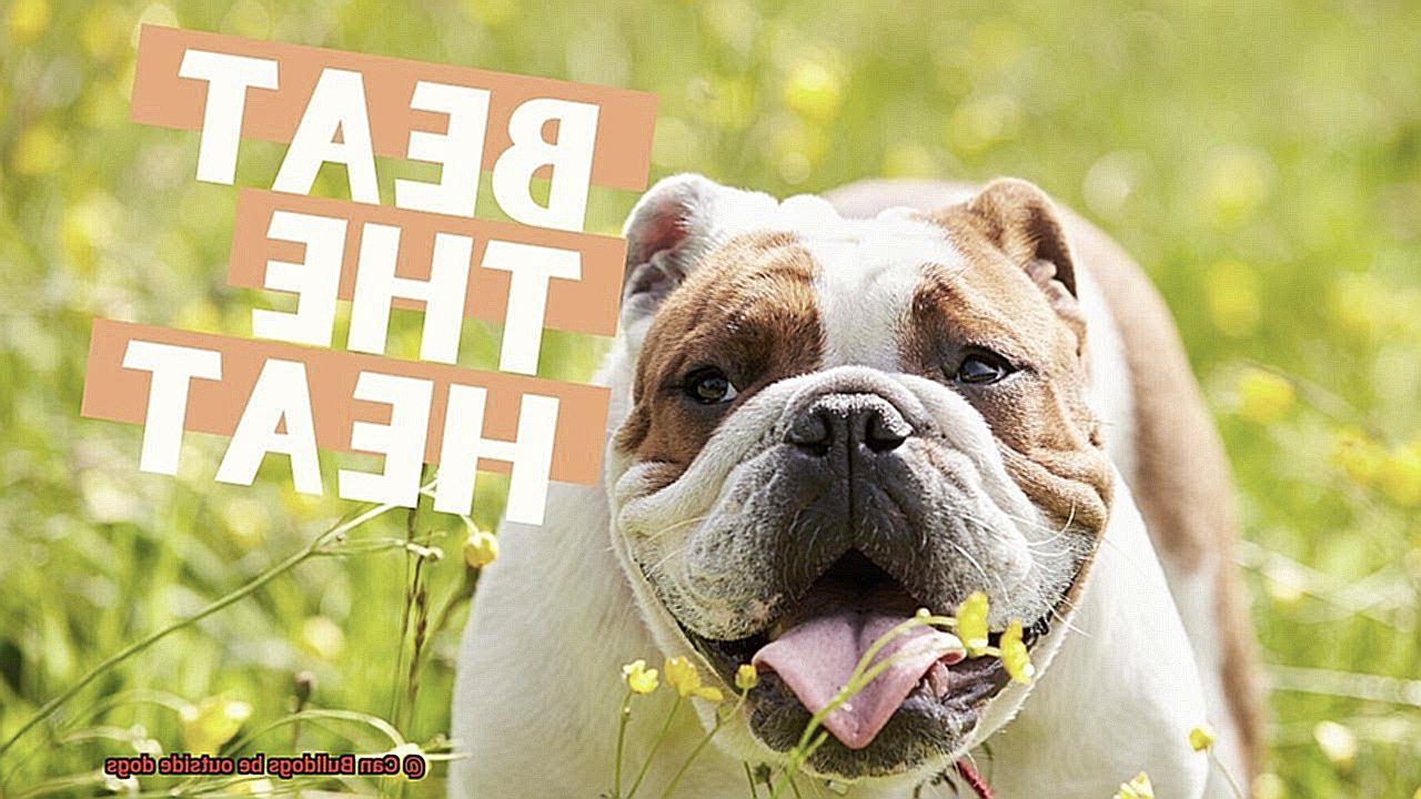 Can Bulldogs be outside dogs-7
