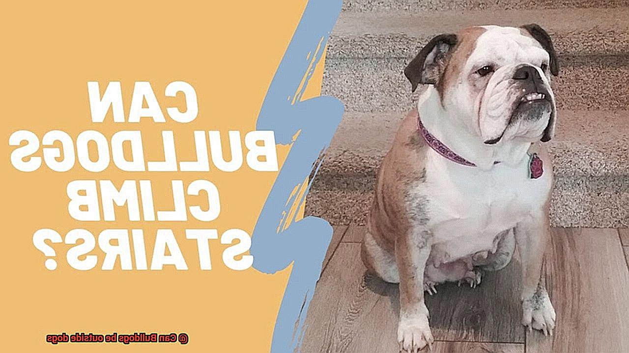 Can Bulldogs be outside dogs-3