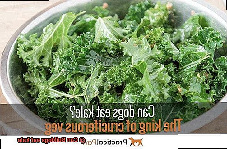 Can Bulldogs eat kale-3