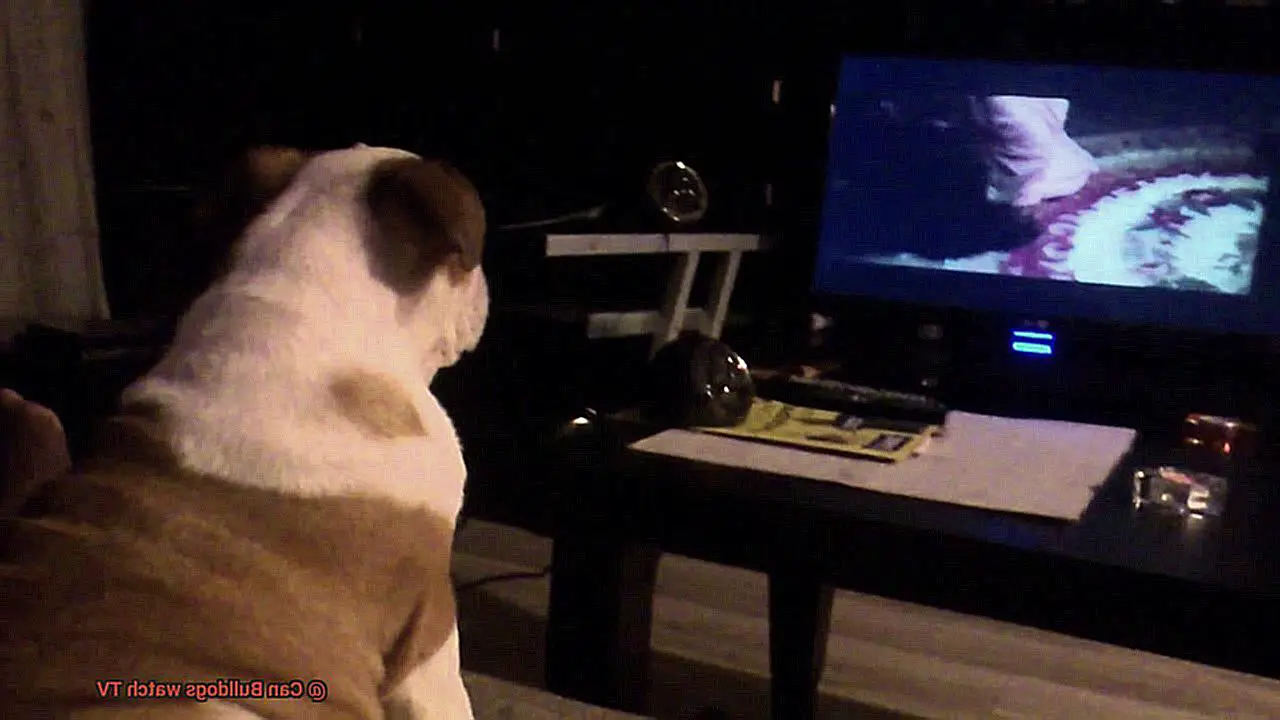 Can Bulldogs watch TV-9