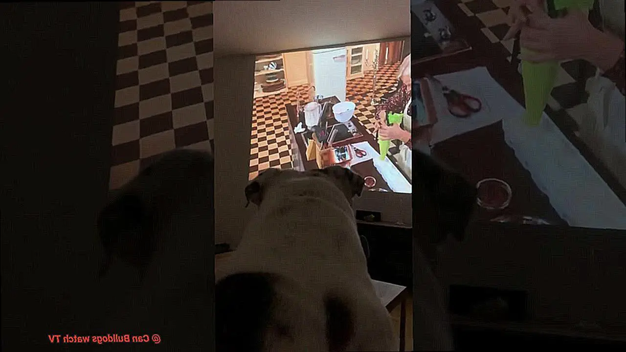 Can Bulldogs watch TV-7