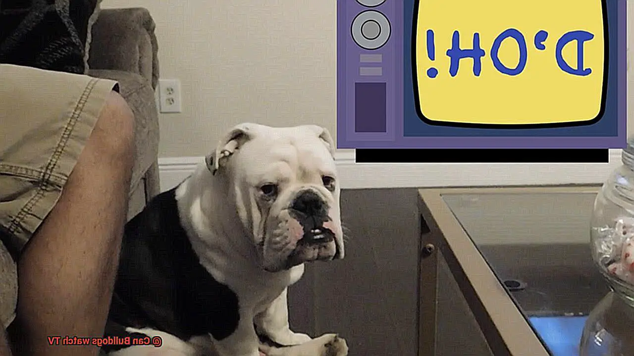 Can Bulldogs watch TV-3