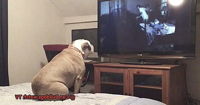 Can Bulldogs watch TV-4