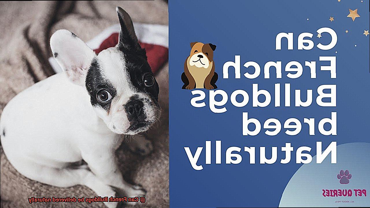 Can French Bulldogs be delivered naturally-7