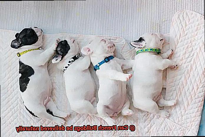 Can French Bulldogs be delivered naturally-2