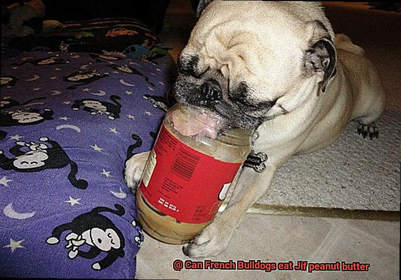 Can French Bulldogs eat Jif peanut butter-6