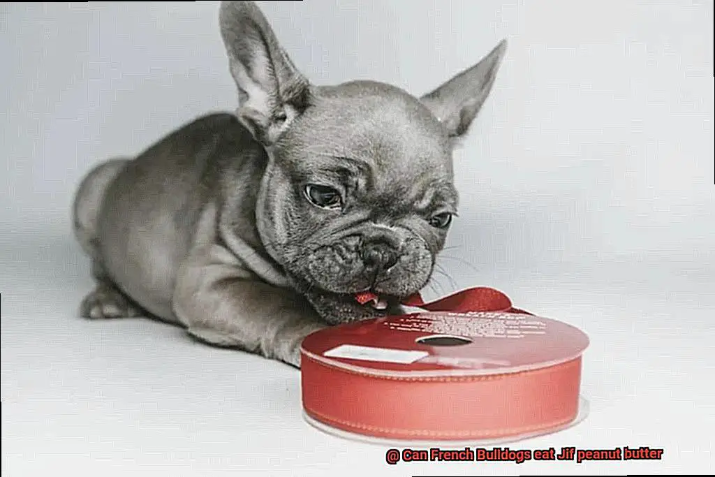 Can French Bulldogs eat Jif peanut butter-3