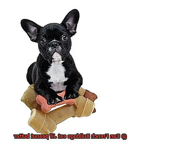 Can French Bulldogs eat Jif peanut butter-2