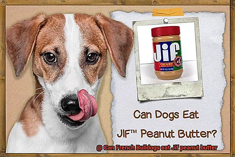 Can French Bulldogs eat Jif peanut butter-5