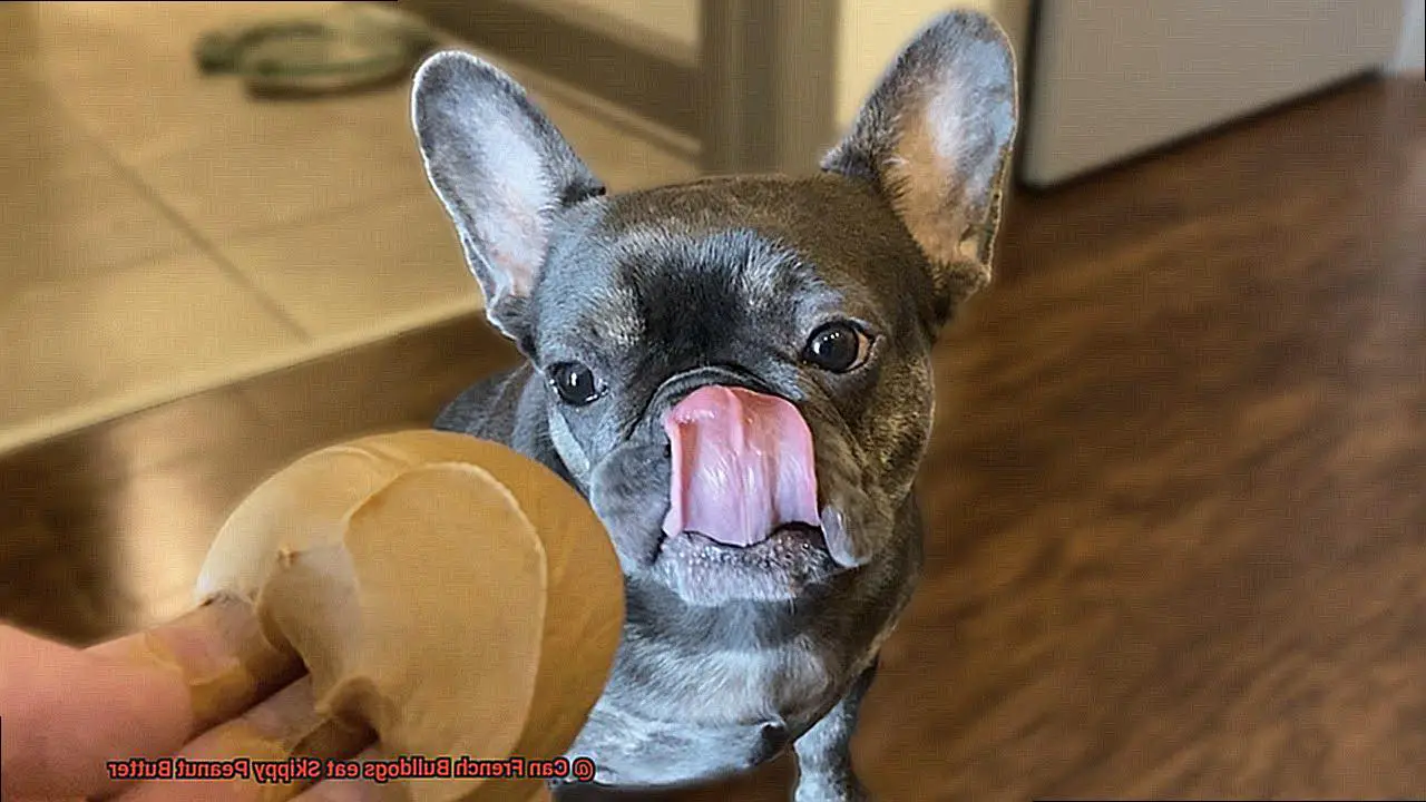 Can French Bulldogs eat Skippy Peanut Butter-6