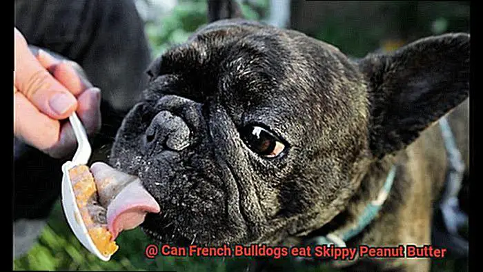Can French Bulldogs eat Skippy Peanut Butter-2