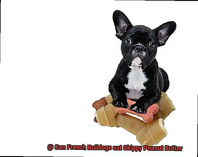 Can French Bulldogs eat Skippy Peanut Butter-5