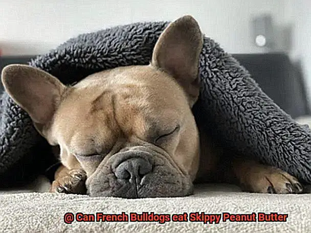 Can French Bulldogs eat Skippy Peanut Butter-4