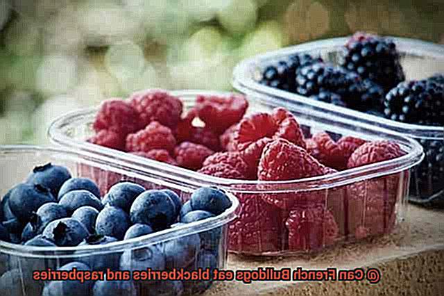 Can French Bulldogs eat blackberries and raspberries-2