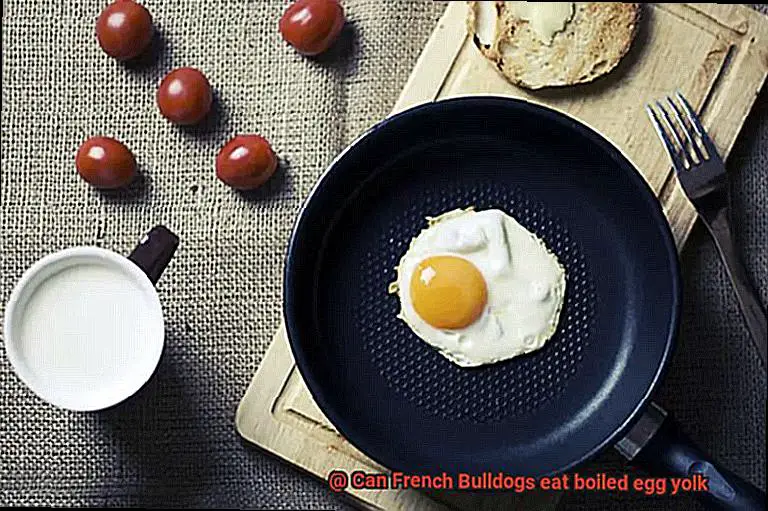 Can French Bulldogs eat boiled egg yolk-2