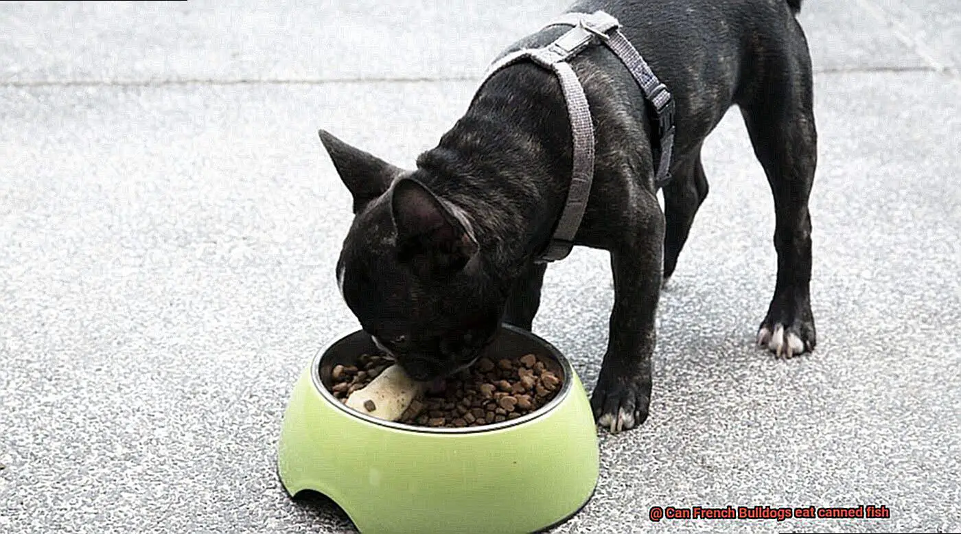 Can French Bulldogs eat canned fish-2