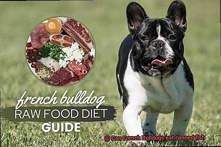 Can French Bulldogs eat canned fish-4