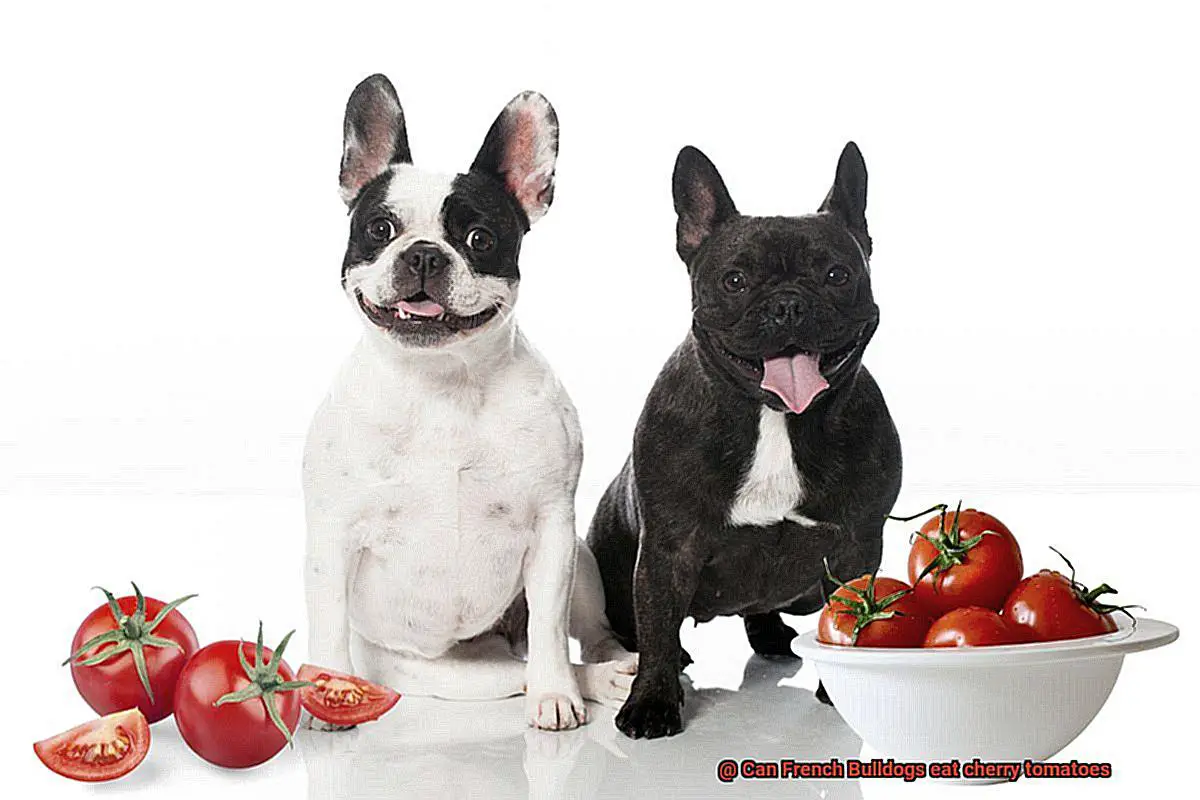 Can French Bulldogs eat cherry tomatoes-3