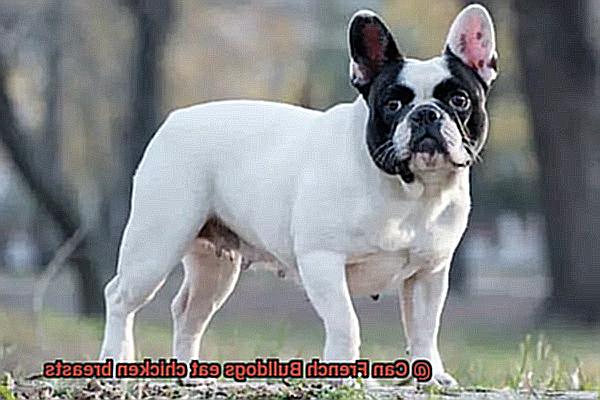 Can French Bulldogs eat chicken breasts-5