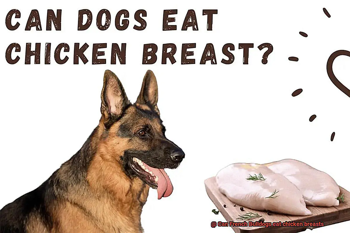 Can French Bulldogs eat chicken breasts-2