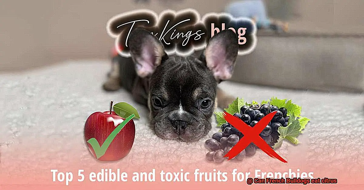 Can French Bulldogs eat citrus-2