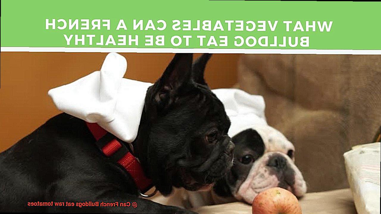 Can French Bulldogs eat raw tomatoes-4
