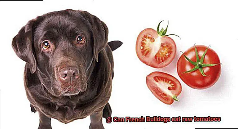 Can French Bulldogs eat raw tomatoes-2