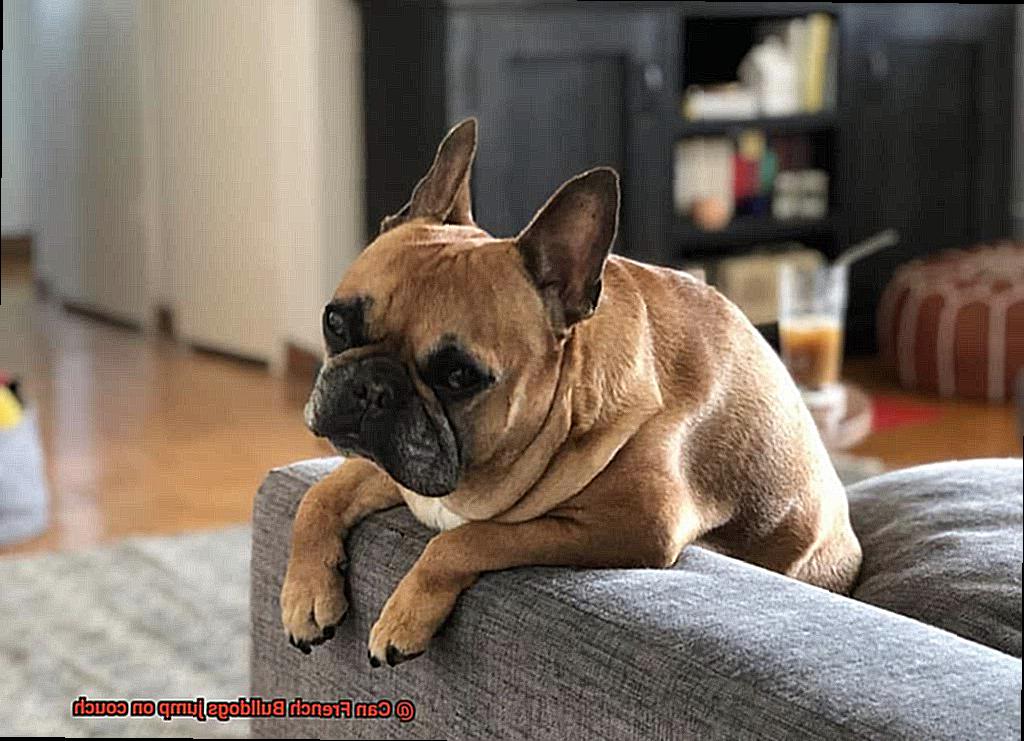 Can French Bulldogs jump on couch-3