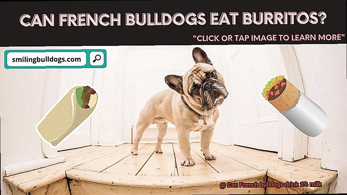 Can French bulldogs drink 2% milk-2