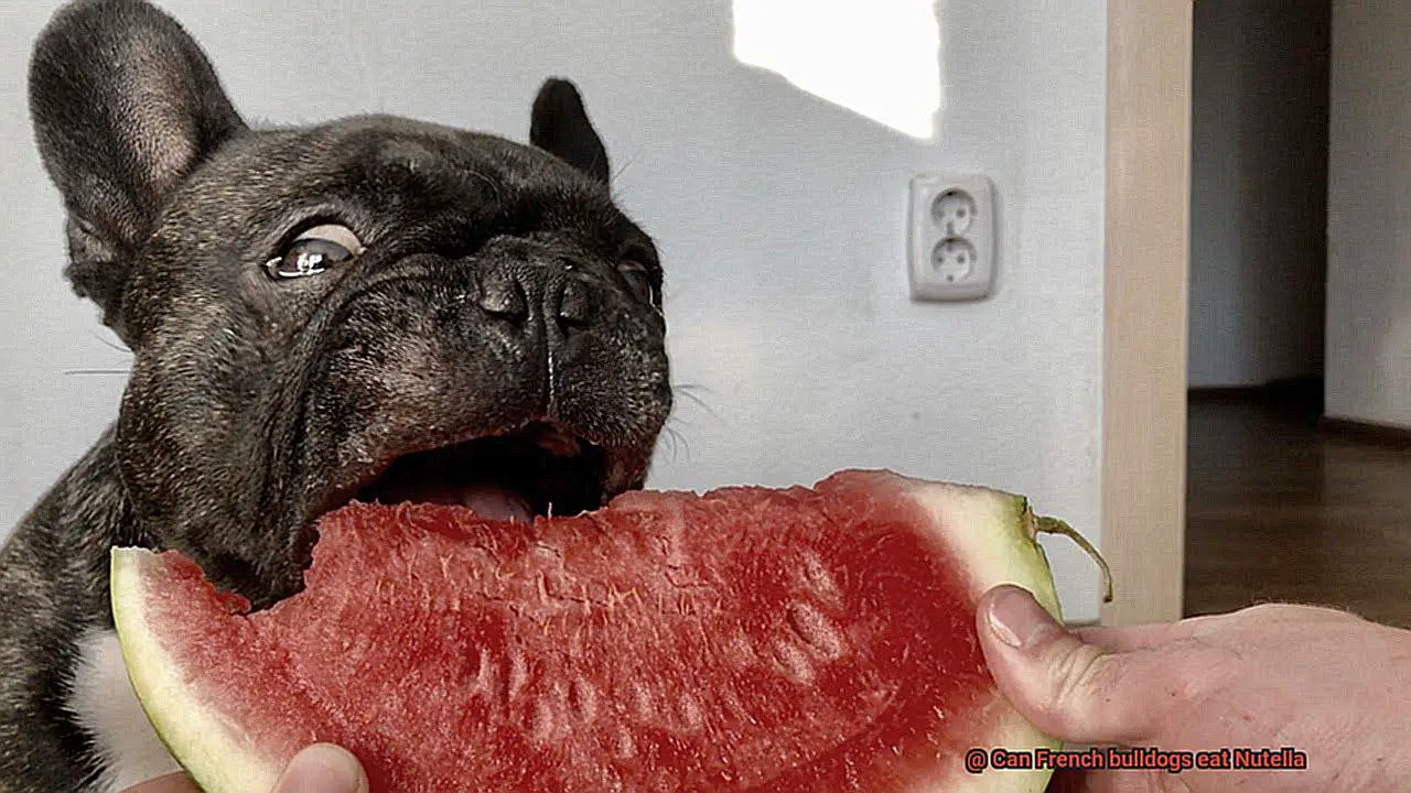 Can French bulldogs eat Nutella-2