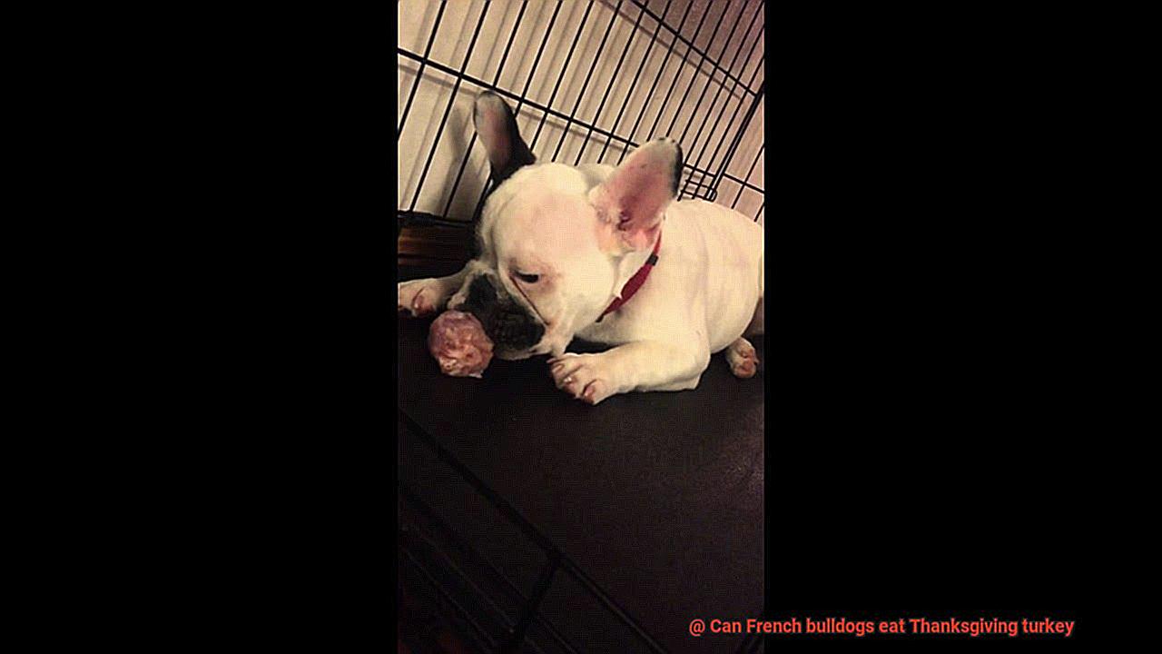 Can French bulldogs eat Thanksgiving turkey-3