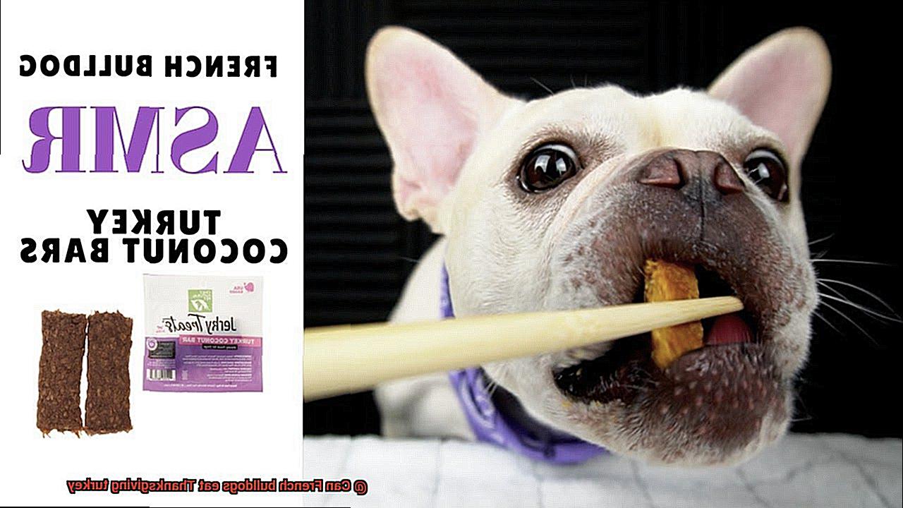 Can French bulldogs eat Thanksgiving turkey-4