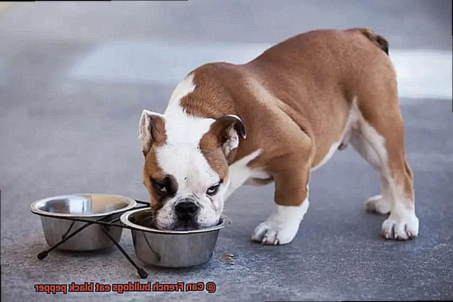 Can French bulldogs eat black pepper-3