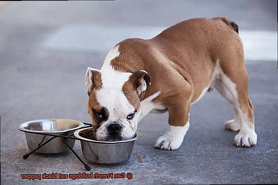 Can French bulldogs eat black pepper-3