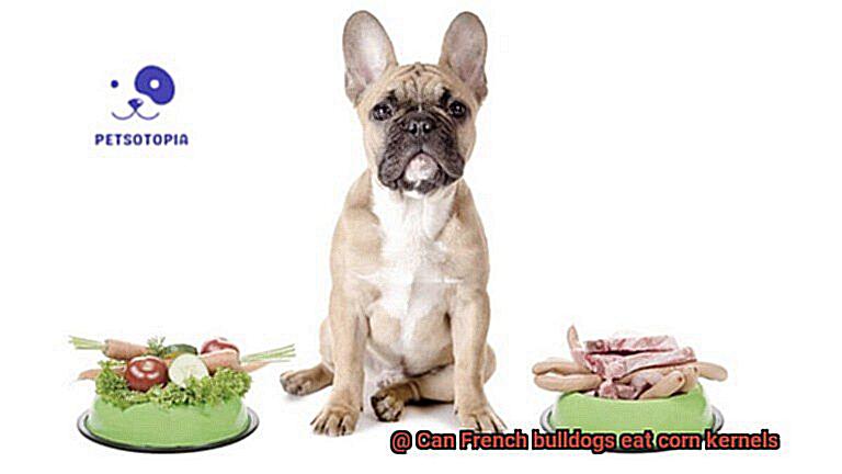 Can French bulldogs eat corn kernels-2