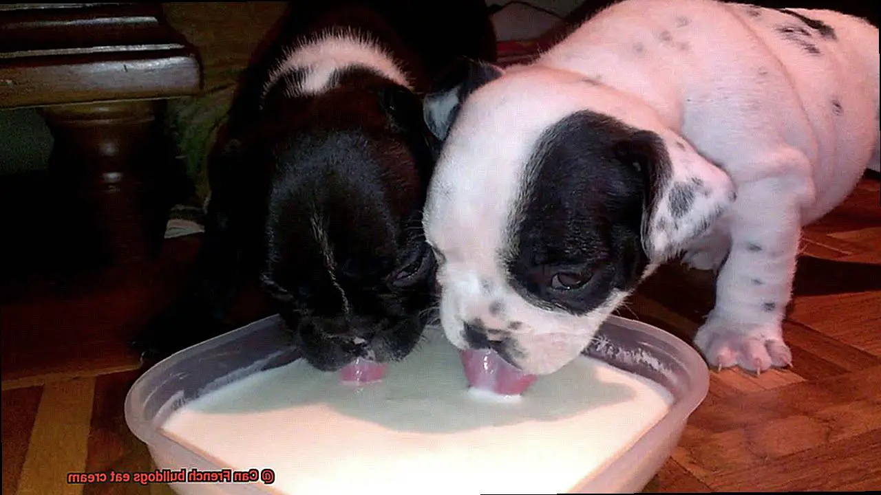 Can French bulldogs eat cream-2