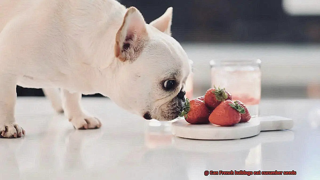 Can French bulldogs eat cucumber seeds-2