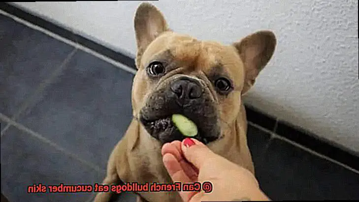 Can French bulldogs eat cucumber skin-6