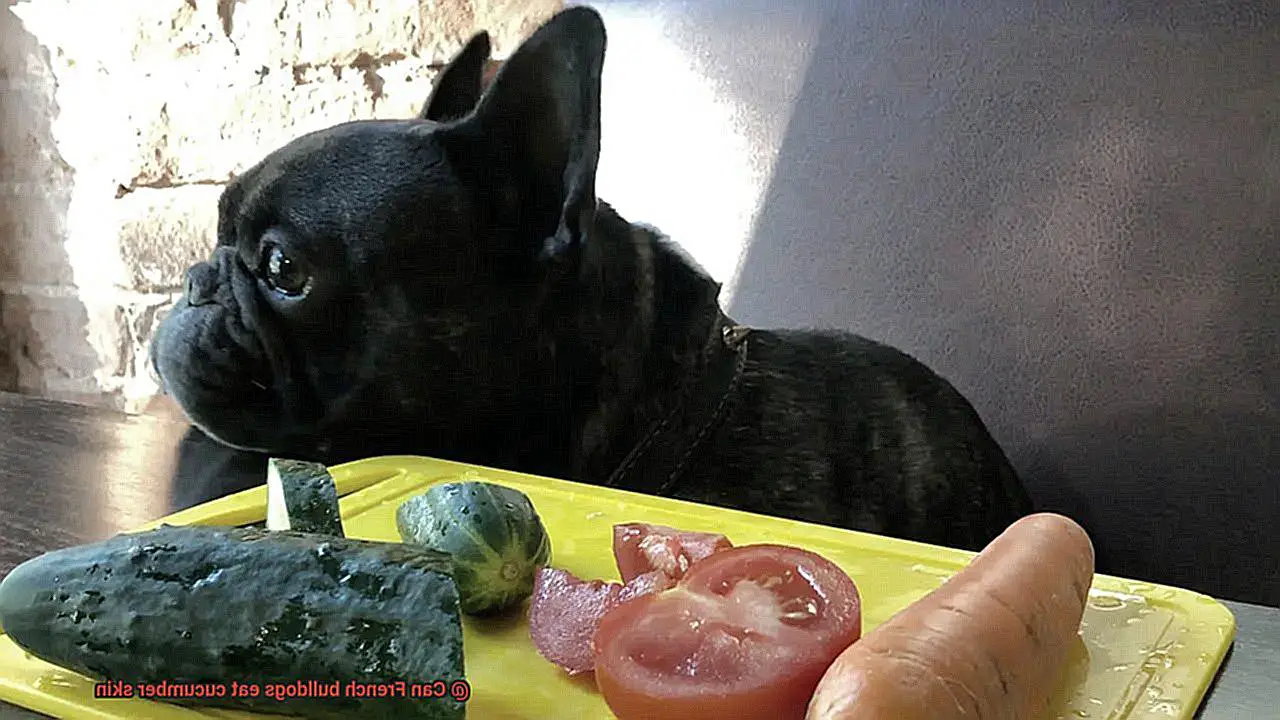 Can French bulldogs eat cucumber skin-2