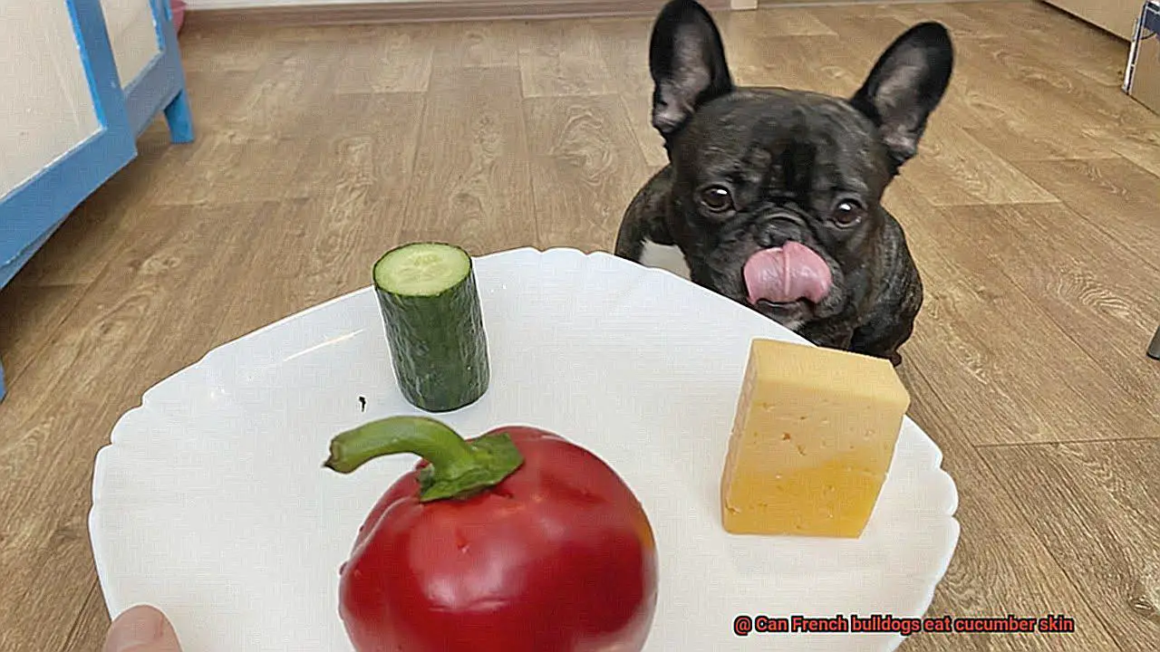 Can French bulldogs eat cucumber skin-3