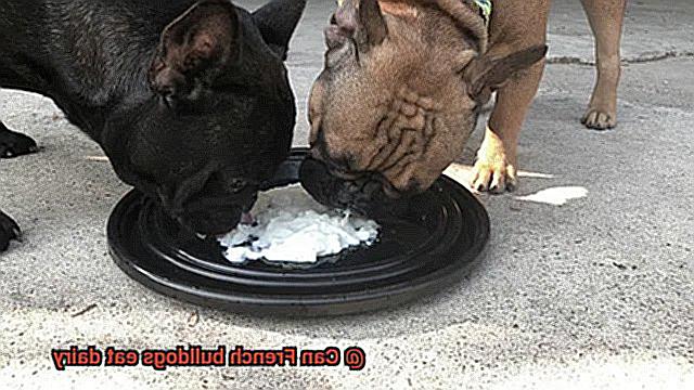 Can French bulldogs eat dairy-2