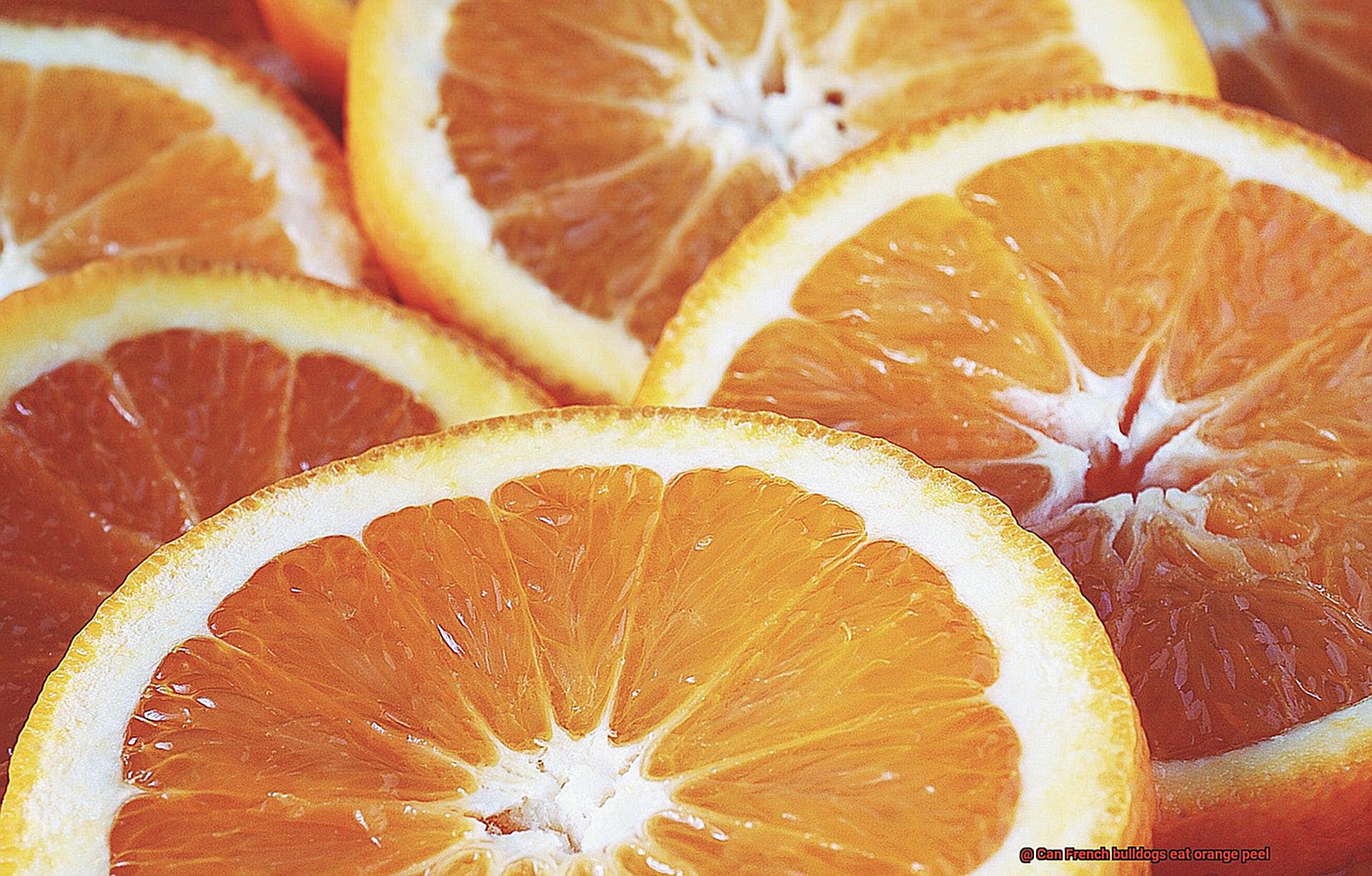 Can French bulldogs eat orange peel-6