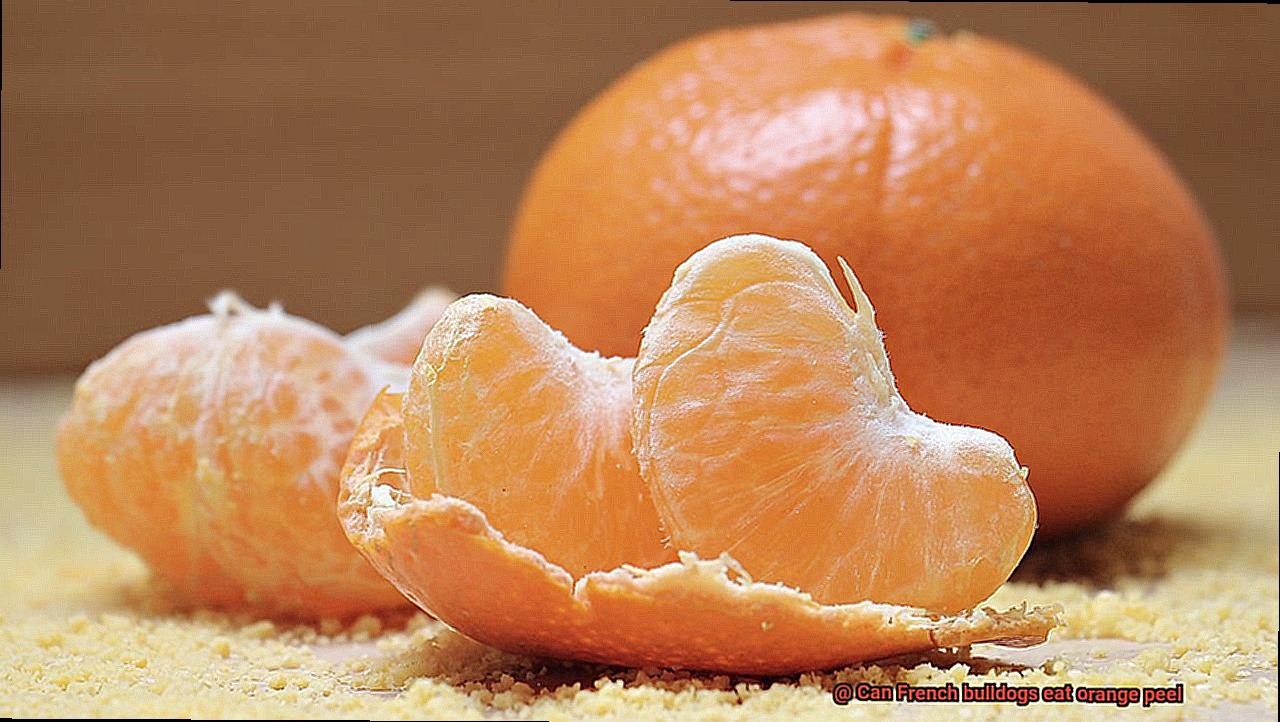 Can French bulldogs eat orange peel-7