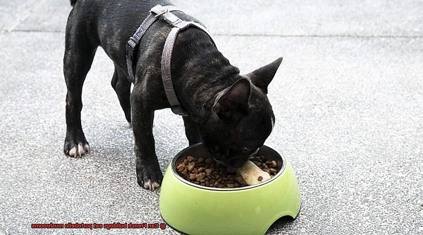 Can French bulldogs eat portobello mushrooms-5