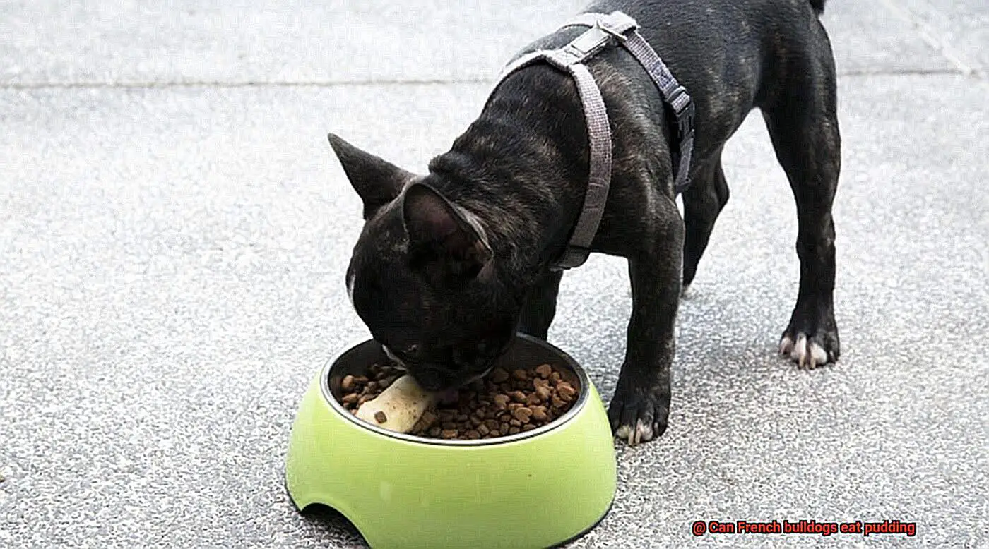 Can French bulldogs eat pudding-2