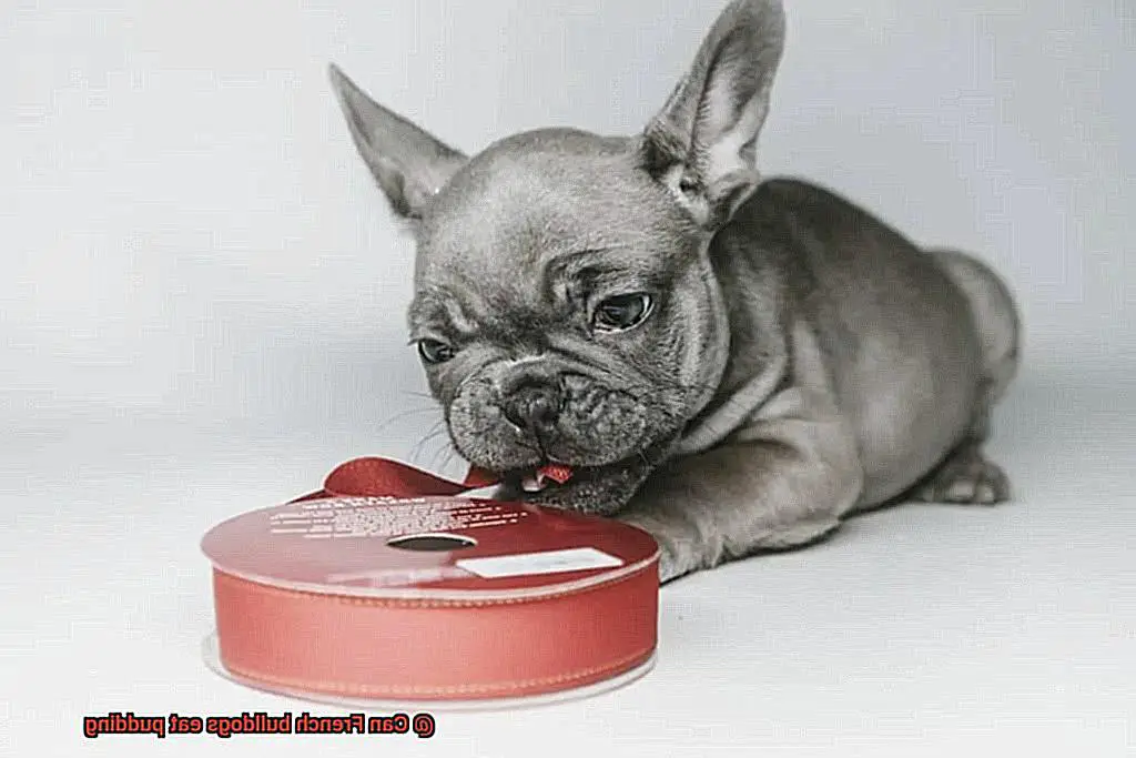 Can French bulldogs eat pudding-7
