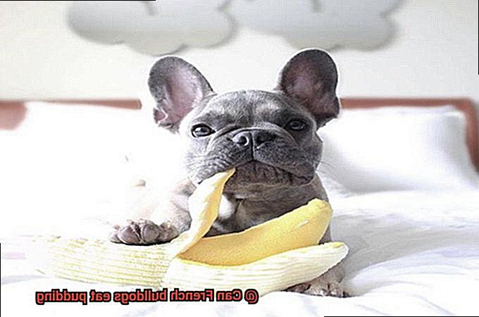 Can French bulldogs eat pudding-3