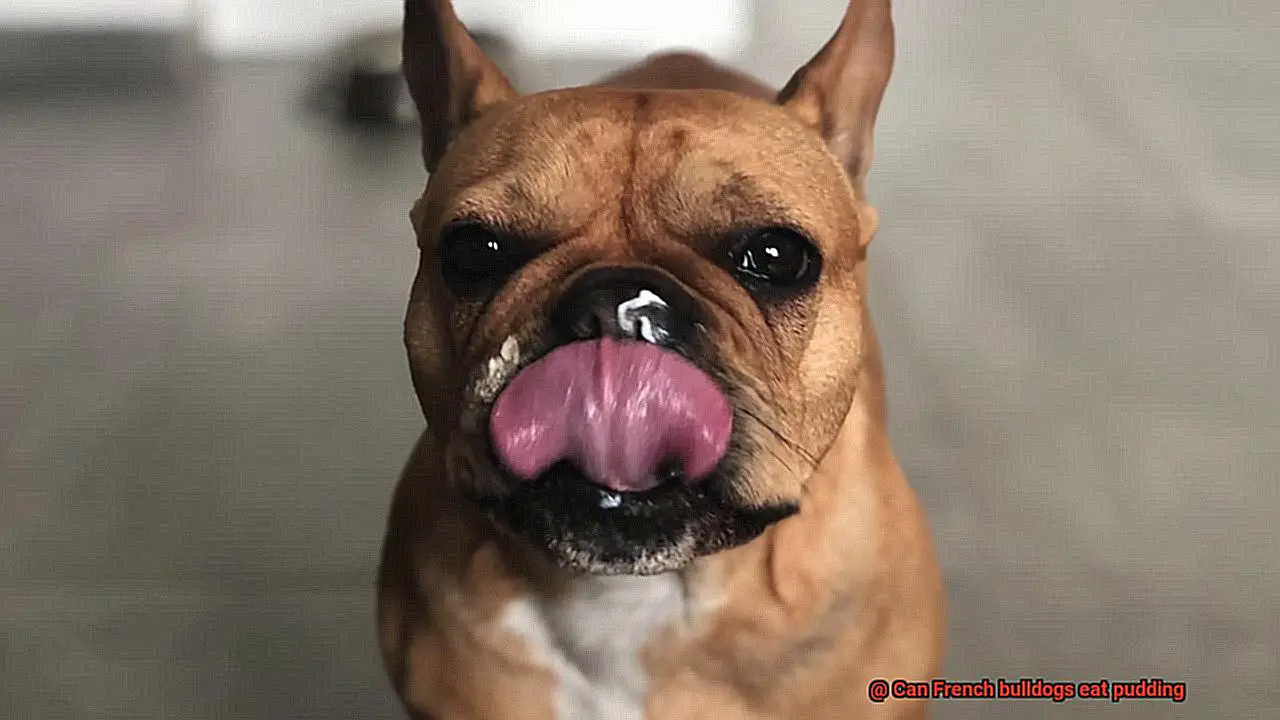 Can French bulldogs eat pudding-6